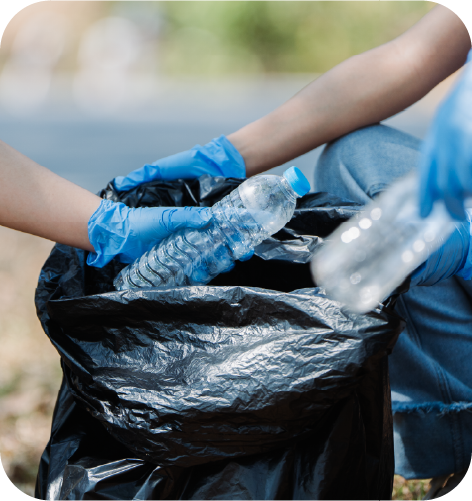 Pensamiento Sustentable