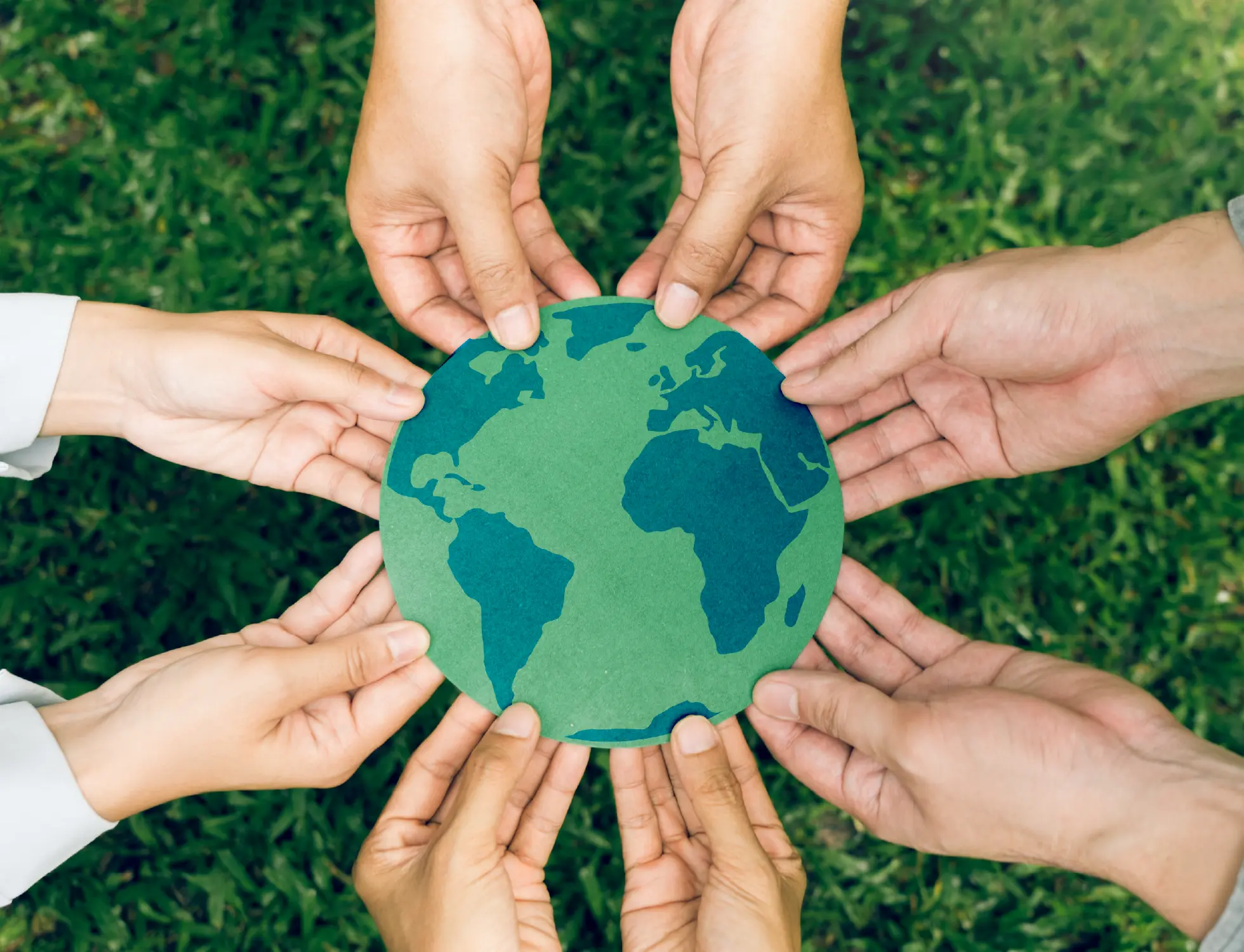 principios de sustentabilidad