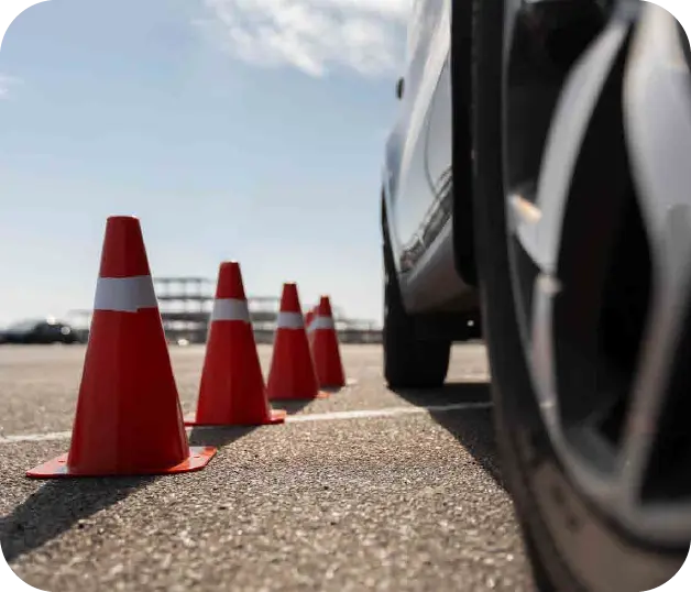 Pensamiento Sustentable